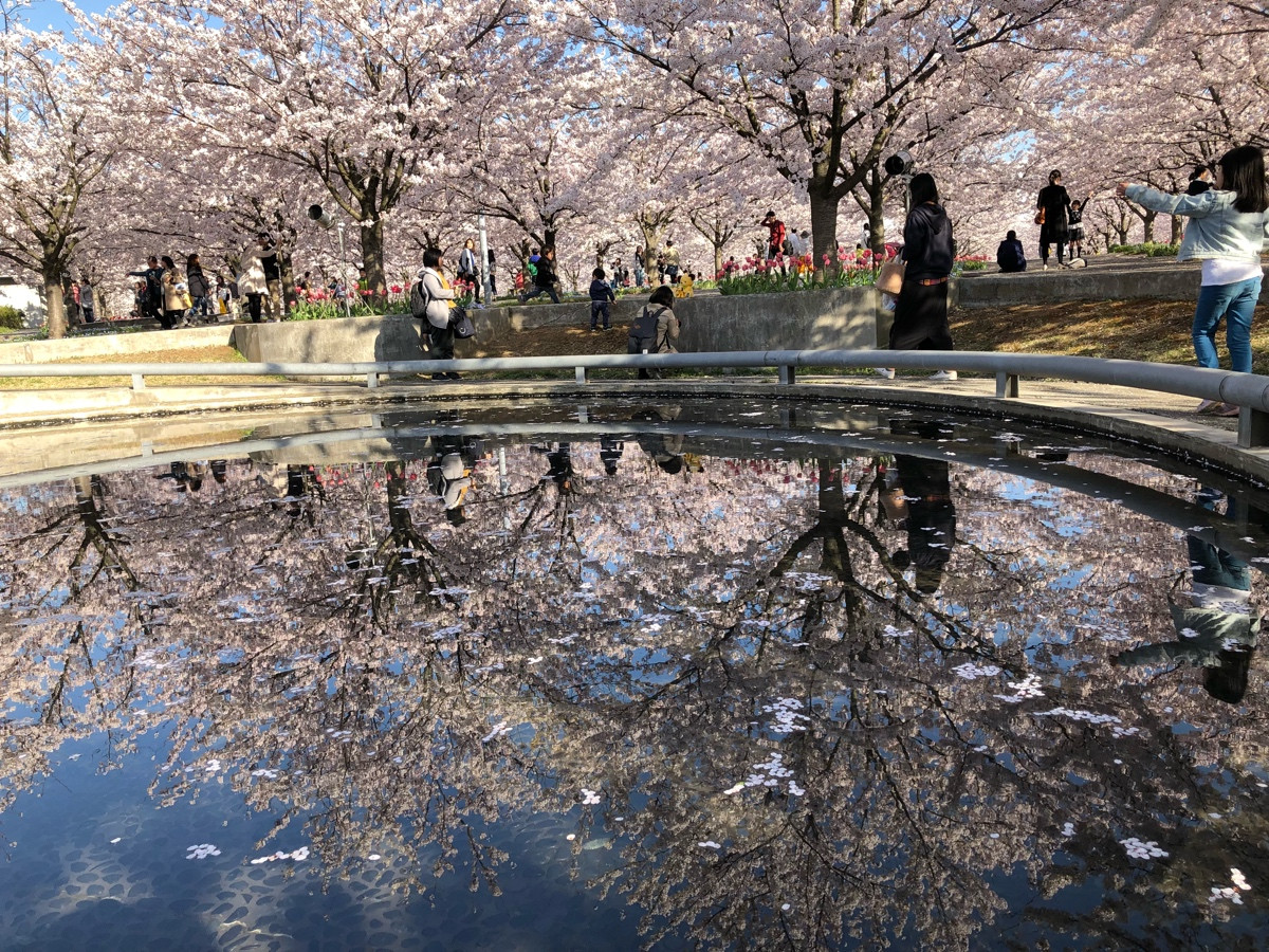 春のおすすめカラーリング☆スロウカラー＾＾